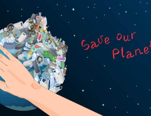 Der World Cleanup Day mit SeedCom